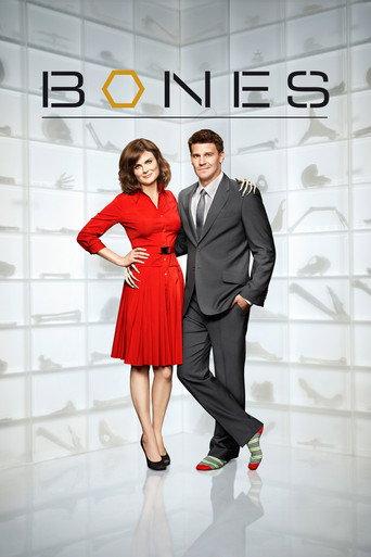 Season 6